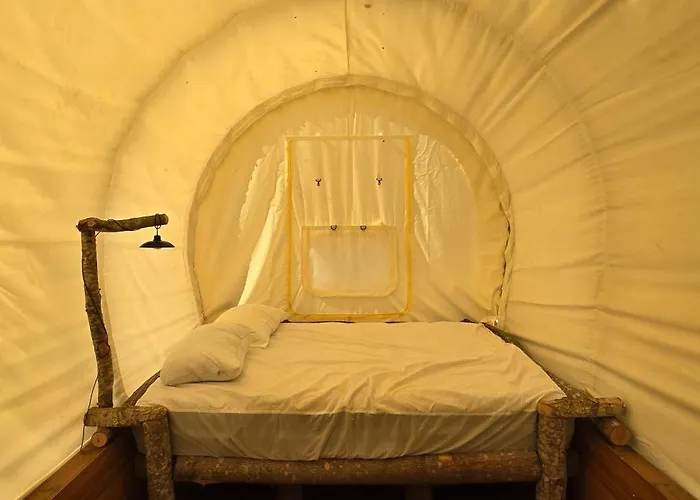 Covered Wagons Hill Camp - Wagon 2