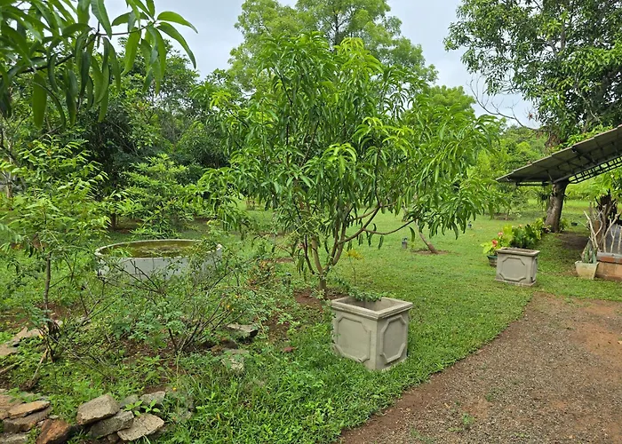 Ceylon Resort Wilpattu
