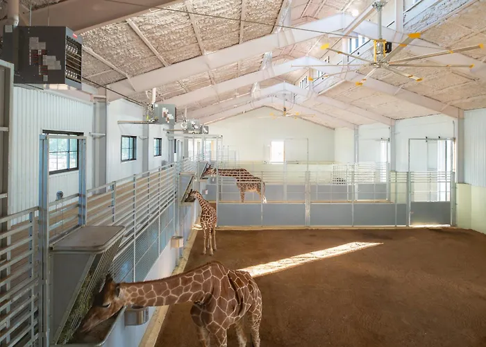 Longneck Manor
