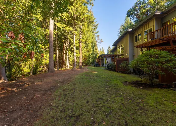 Pacific Forest Beach House