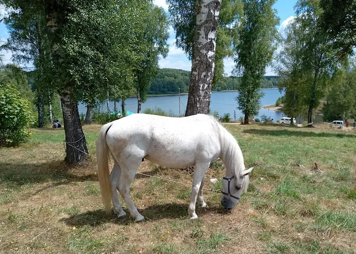 Hotel Vlasina - Vlasinsko Jezero