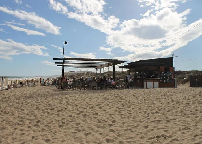 Hotel Marina Elche