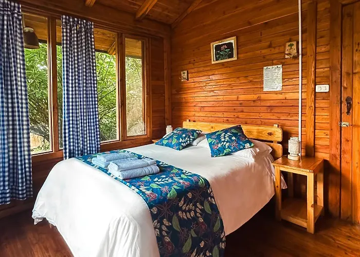 Hotel El Abrazo Del Arbol
