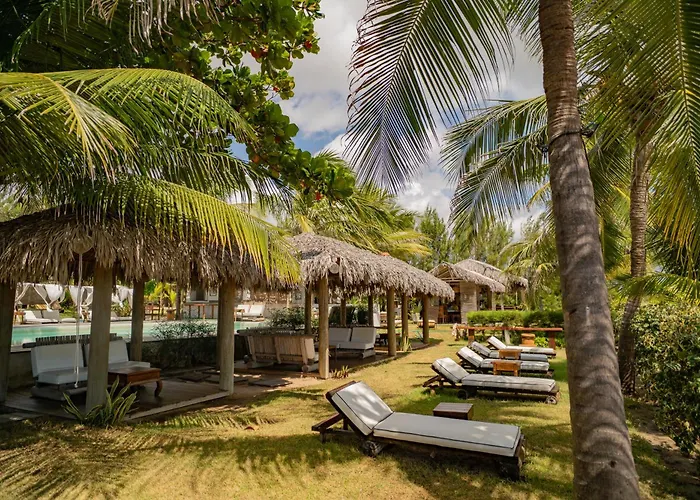 Zebra Boutique Hotel