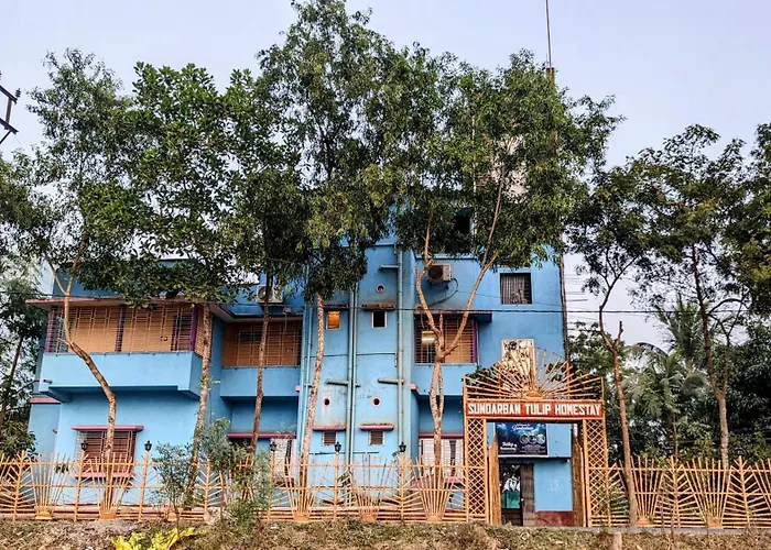 Sundarban Tulip Homestay, Pakhiralay, Wb