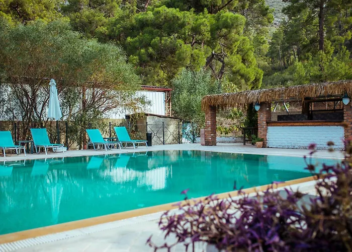 Eski Yeni Tatil Evi Olympos