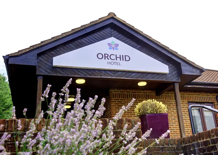 Orchid Hotel, Epsom Surrey, Sure Collection By Best Western