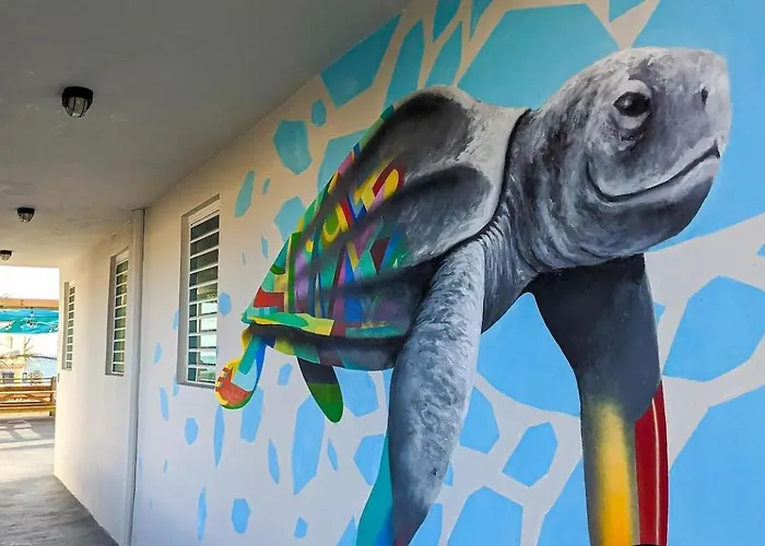 The Surfing Turtle