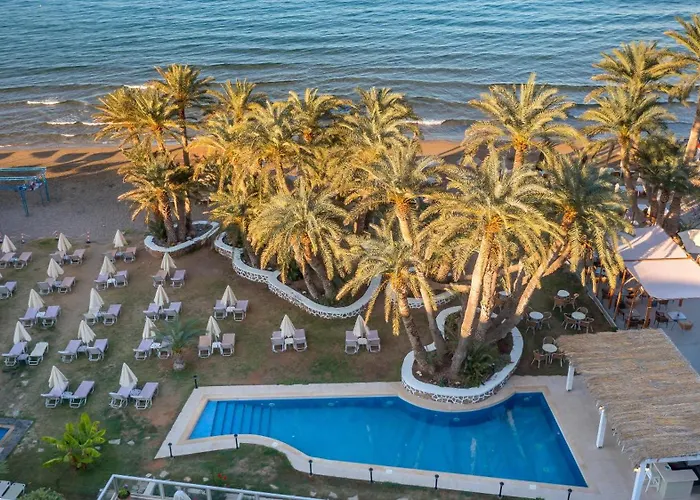 Zeus Hotels Palm Beach