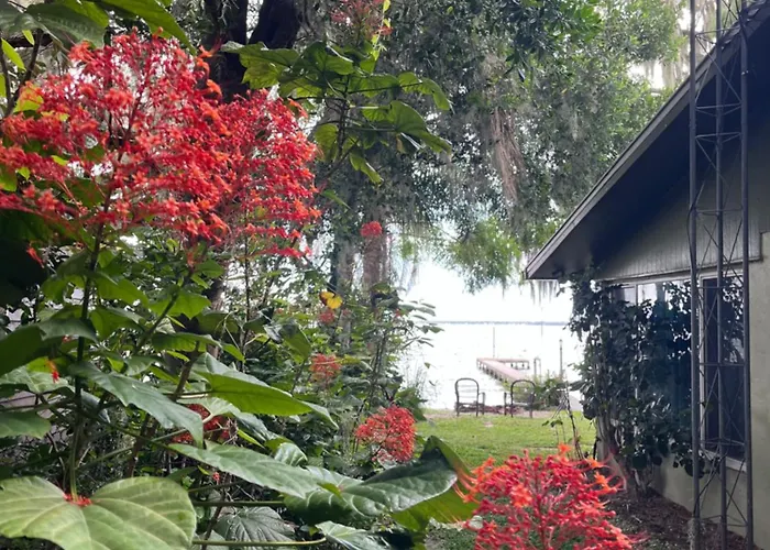 Bellas Bungalows