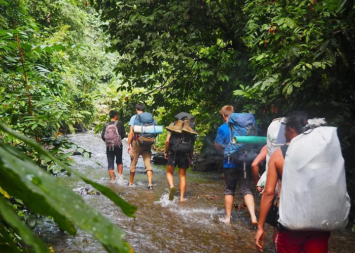 Thejungleguide - Lodges & Treks