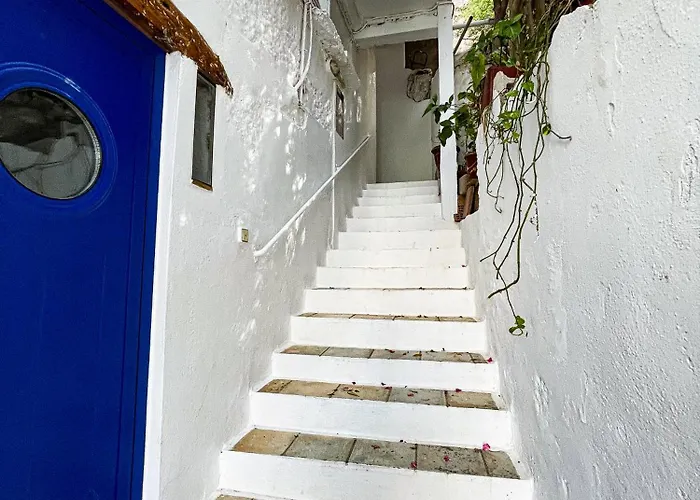The Blue House