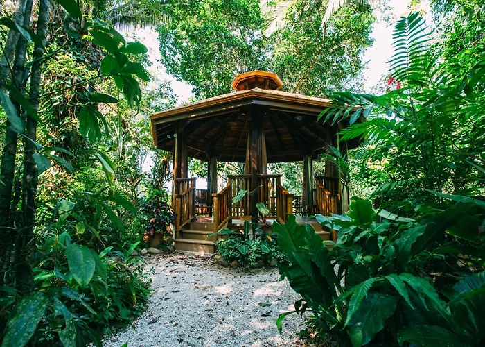 Ian Anderson Caves Branch Jungle Lodge
