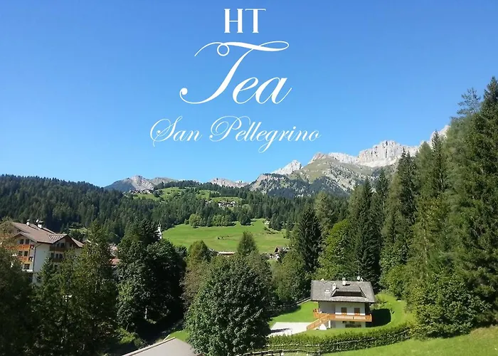 Tea San Pellegrino - Dolomiti