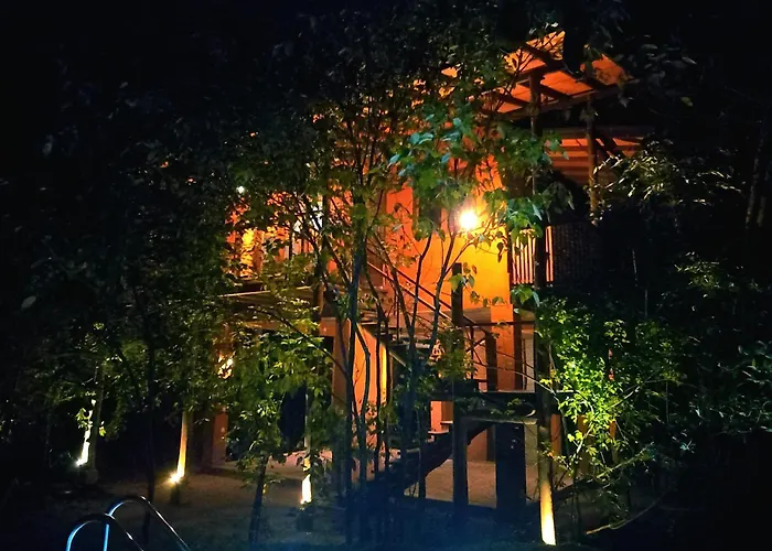Hornbill Forest Habarana