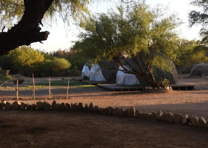Desert Camp