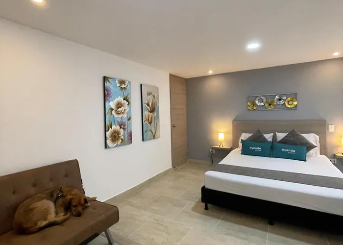 Hotel 12 Nights
