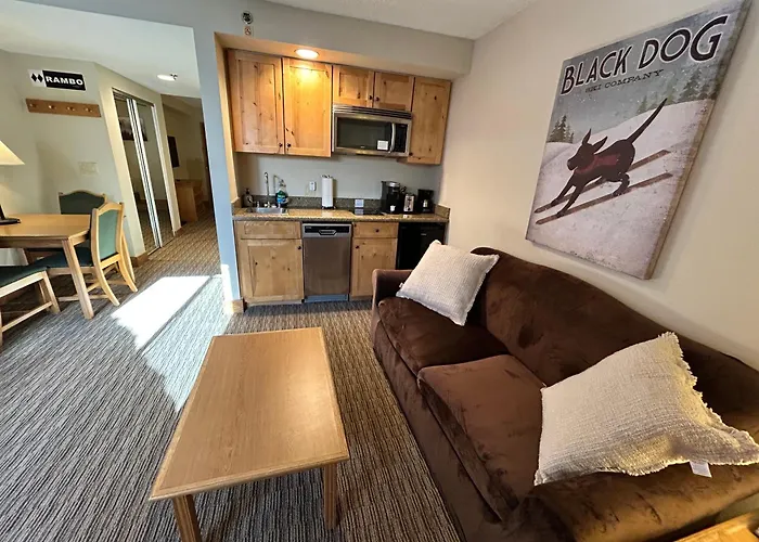 Walk To Lifts, Pet Friendly, Hot Tub, Bus To Town