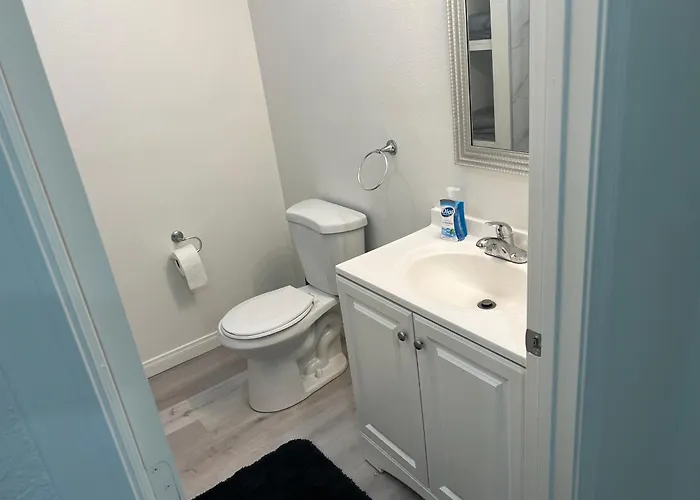 Modern And Charming 1 Bed First Floor Apartment
