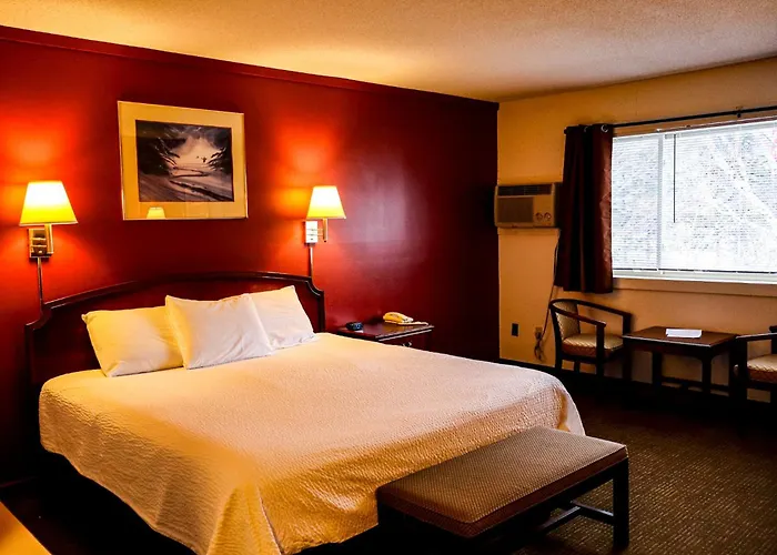 Snowy Owl Inn