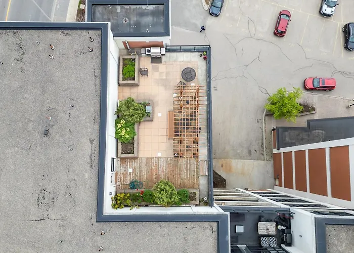 Entire 1 Bedroom In The Heart Of Kw Downtown Across Google