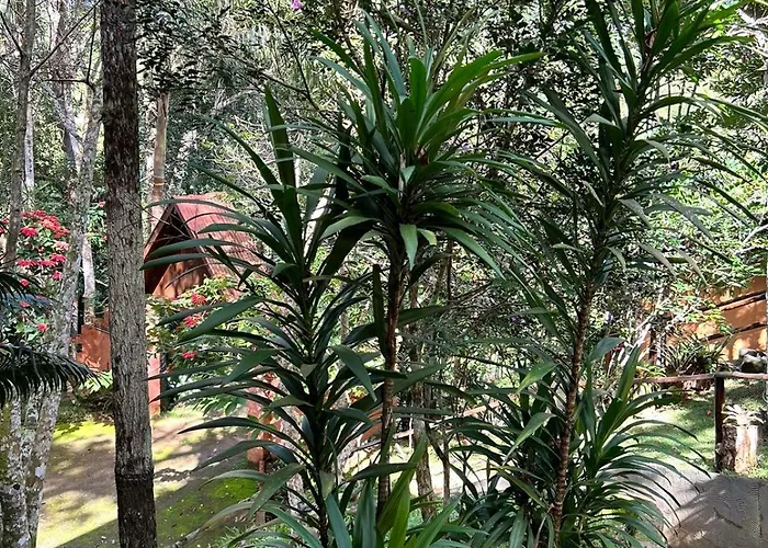 Pousada Chalé da Mata - Circuito Caravaggio, Santa Teresa