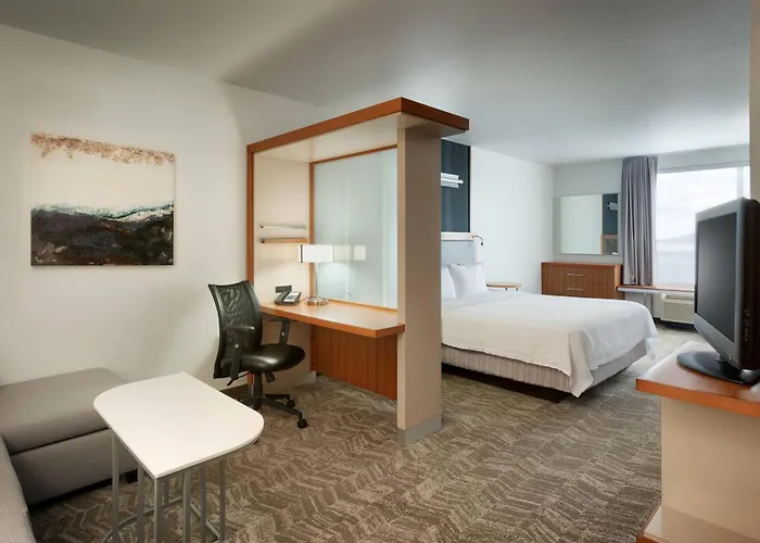 Springhill Suites By Marriott Rexburg