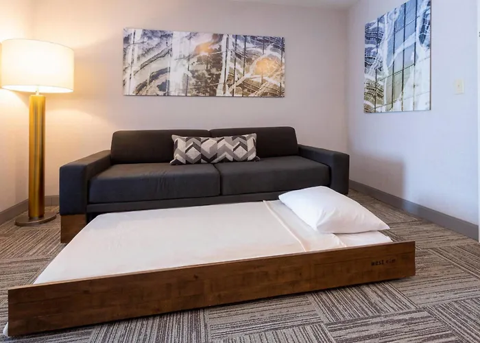 Springhill Suites Minneapolis Maple Grove/Arbor Lakes