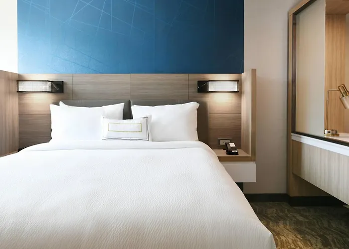 Springhill Suites Dallas Dfw Airport South/Centreport