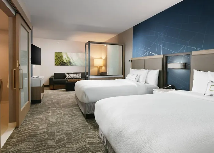 Springhill Suites Dallas Dfw Airport South/Centreport
