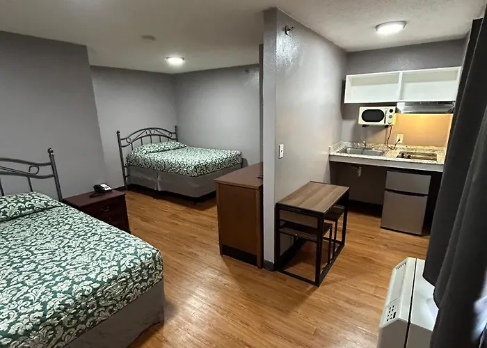 Live In Lodge Lilburn