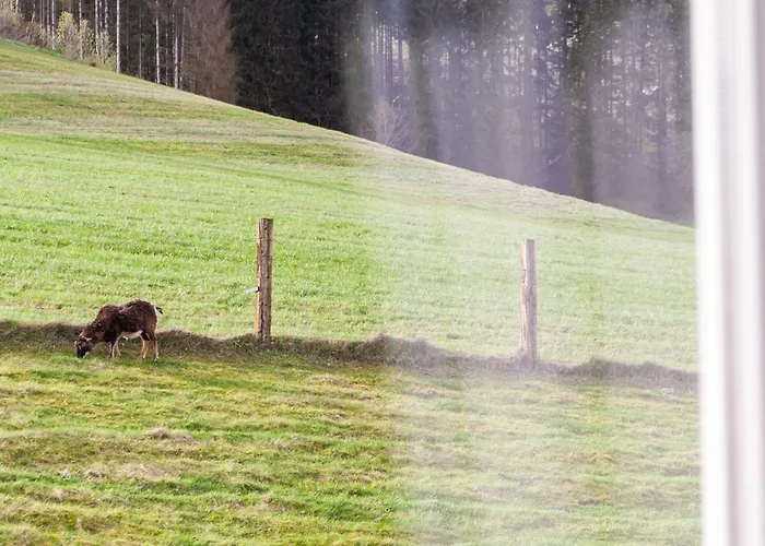 Forellenhof Wald- Und Wiesenquartier