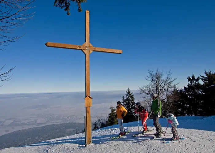 Schönblick Hohenbogen