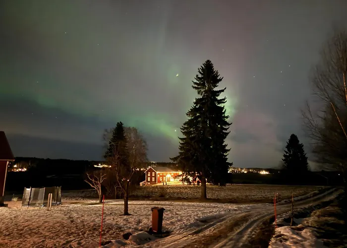 3 Bedroom House Near Hudiksvall With Infrared Sauna & High-Speed Fiber