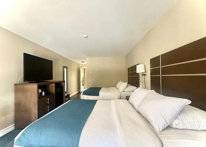 Big Tub Resort&Marina