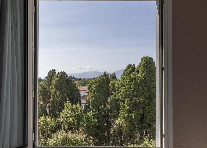 B&B Hotel Perpignan Sud Marche International
