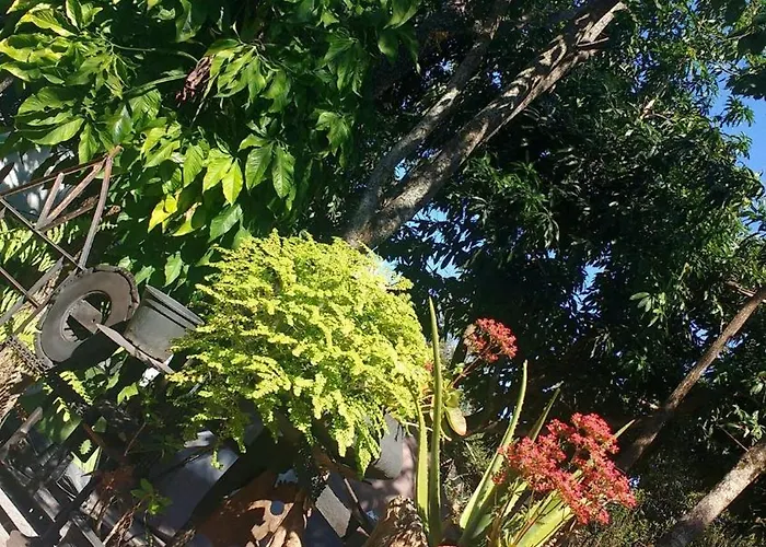 House In The Garden