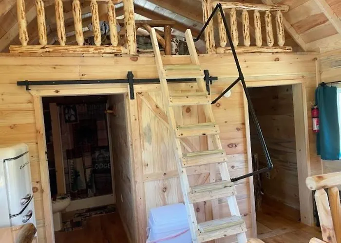 Black Bear Cabin