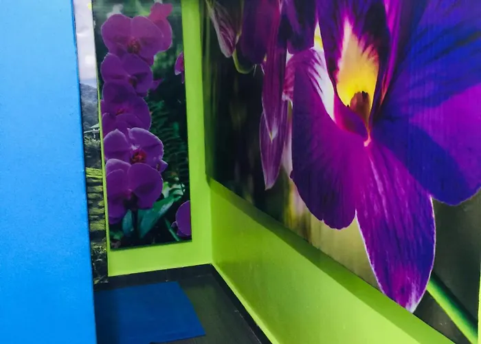 Lily Haven Hotel C-1