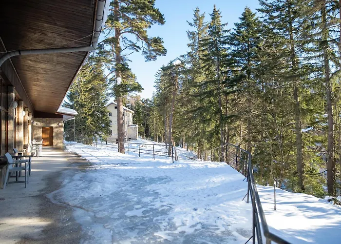 Hotel Borovets Edelweiss