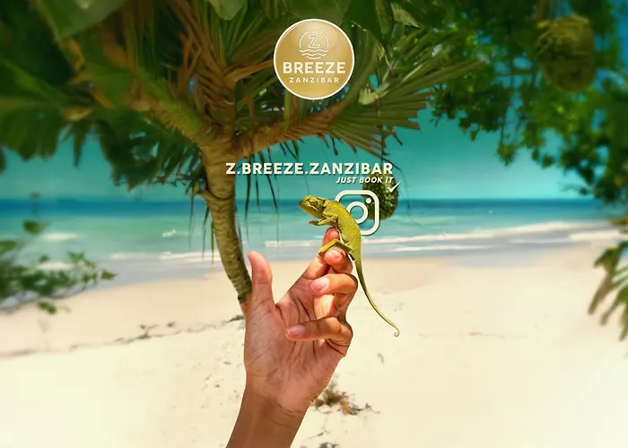 Z Breeze