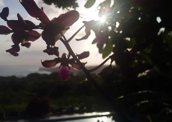 Sumba Nautil Resort