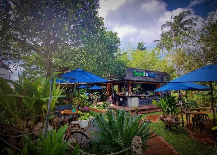 The Willow Phangan