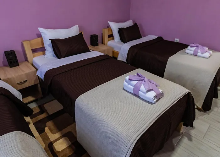 Smestaj & Spa Protic