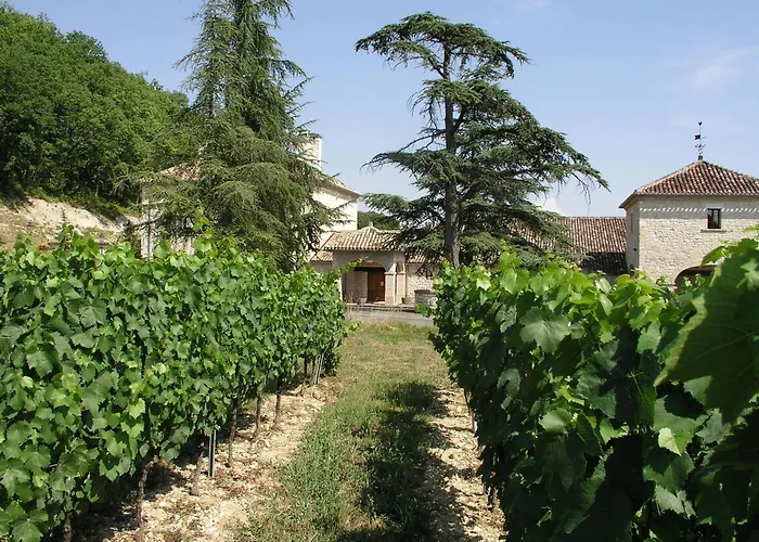 Château Lecusse - La Grande Roche - Hôtel, Spa, Boutique&Restaurant