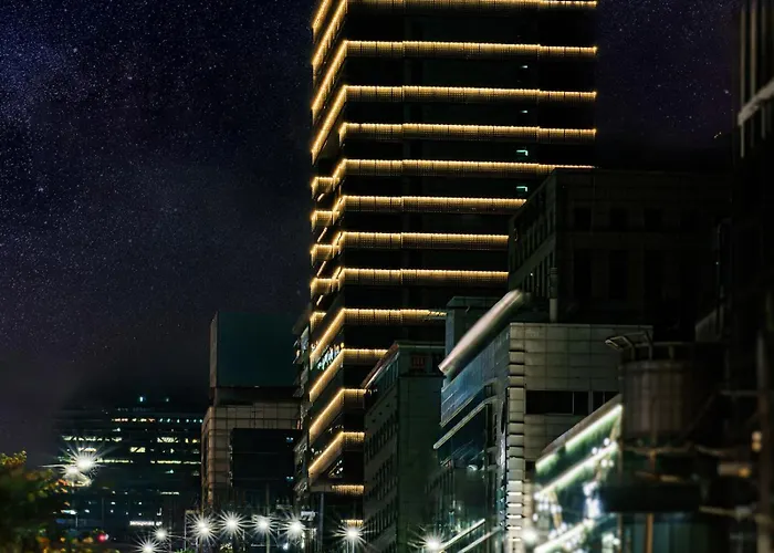 Eliena Hotel Seoul Gangnam