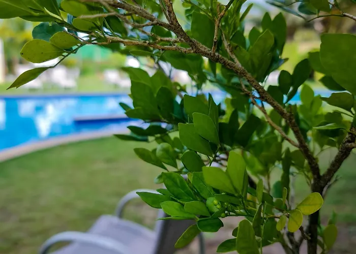 Catussaba Business Hotel