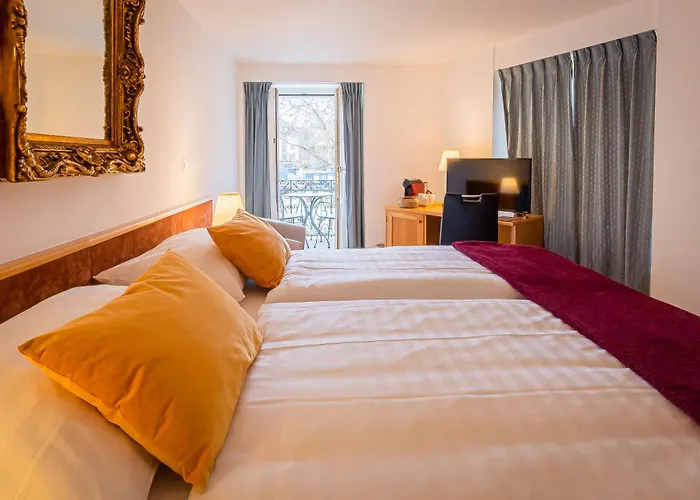 Hôtel du Cheval Blanc - City center