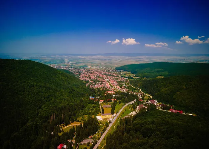 Bacolux Santis, Covasna
