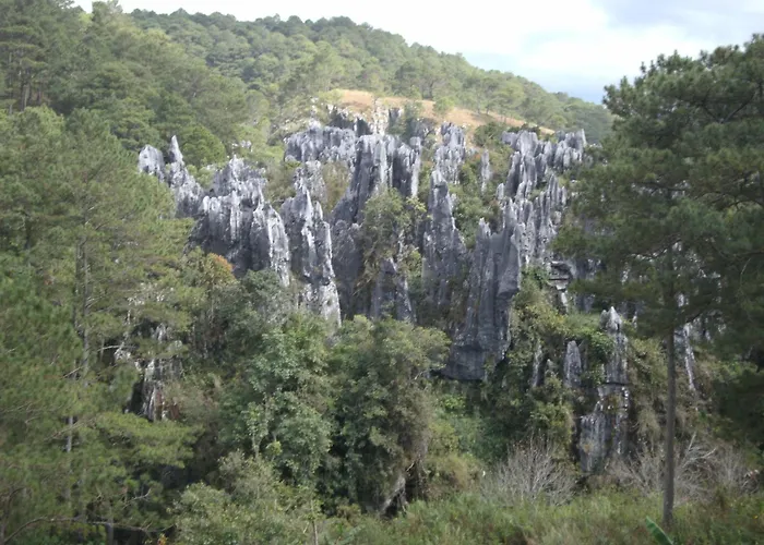 Sagada Younganaut Lodge